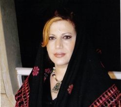 طابقا وثيمة مصعد كهربائي