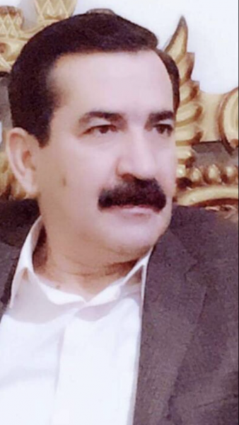 الزنابير السياسية